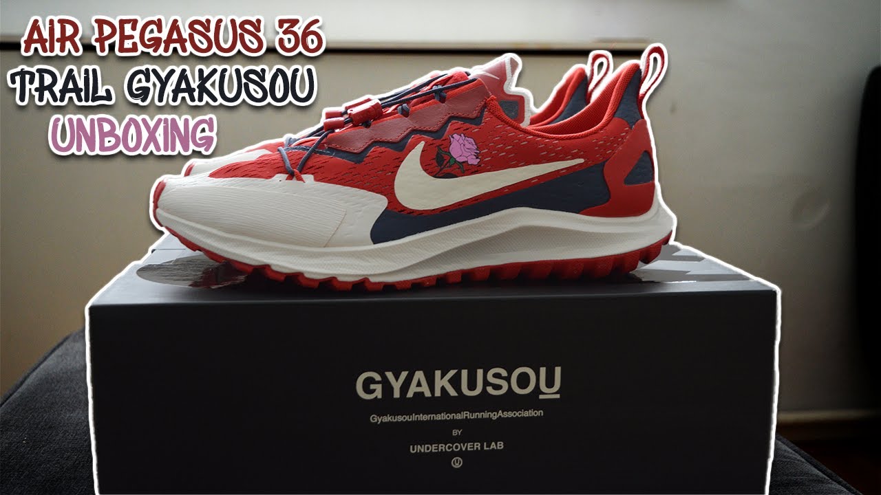 zoom pegasus 36 gyakusou