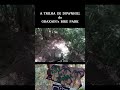 Uma descida na Trilha de Downhill do Bike Park #mtb