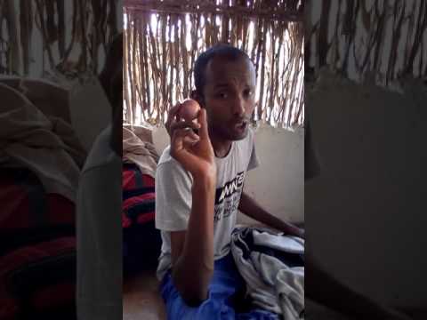 Zaki Iyo Safaekiisi Dhoobley Qosolka Adunka