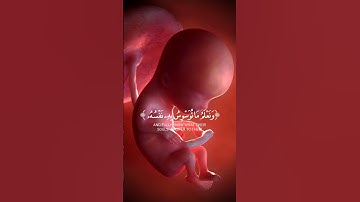 وَلَقَدْ خَلَقْنَا الْإِنسَانَ وَنَعْلَمُ مَا تُوَسْوِسُ بِهِ نَفْسُهُ ۖ || #سورة_ق #المنشاوي #قرآن