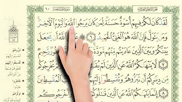 سورة الممتحنة ٦-٨