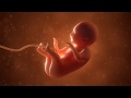 The Amazing World of Cells and Microbes