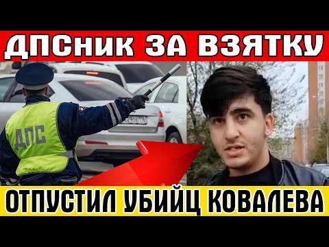 Инспектор ДПС ЗА ВЗЯТКУ отпустил убийцу Ковалева - Шахина Аббасова!