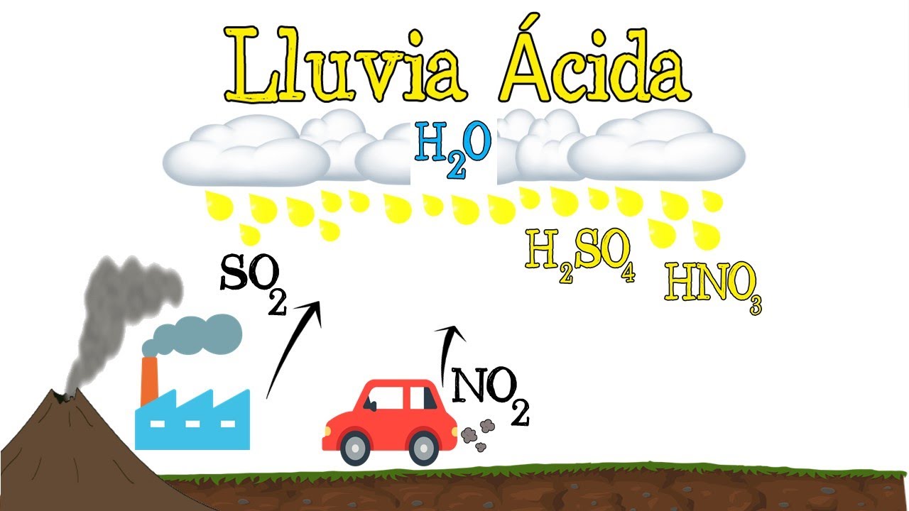 💧 ¿Qué es la Lluvia ácida? ⚠️ [Fácil y Rápido] | BIOLOGÍA | QUÍMICA | -  thptnganamst.edu.vn