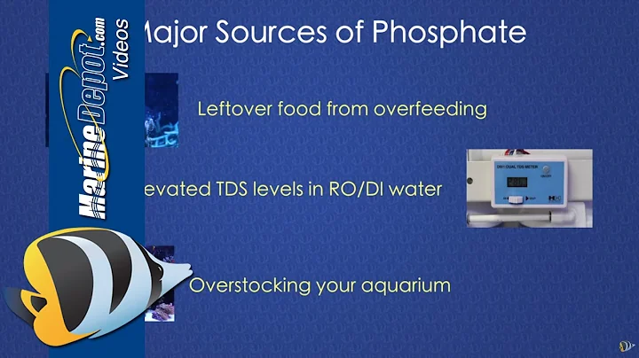 How to Control Phosphate in a Reef Tank