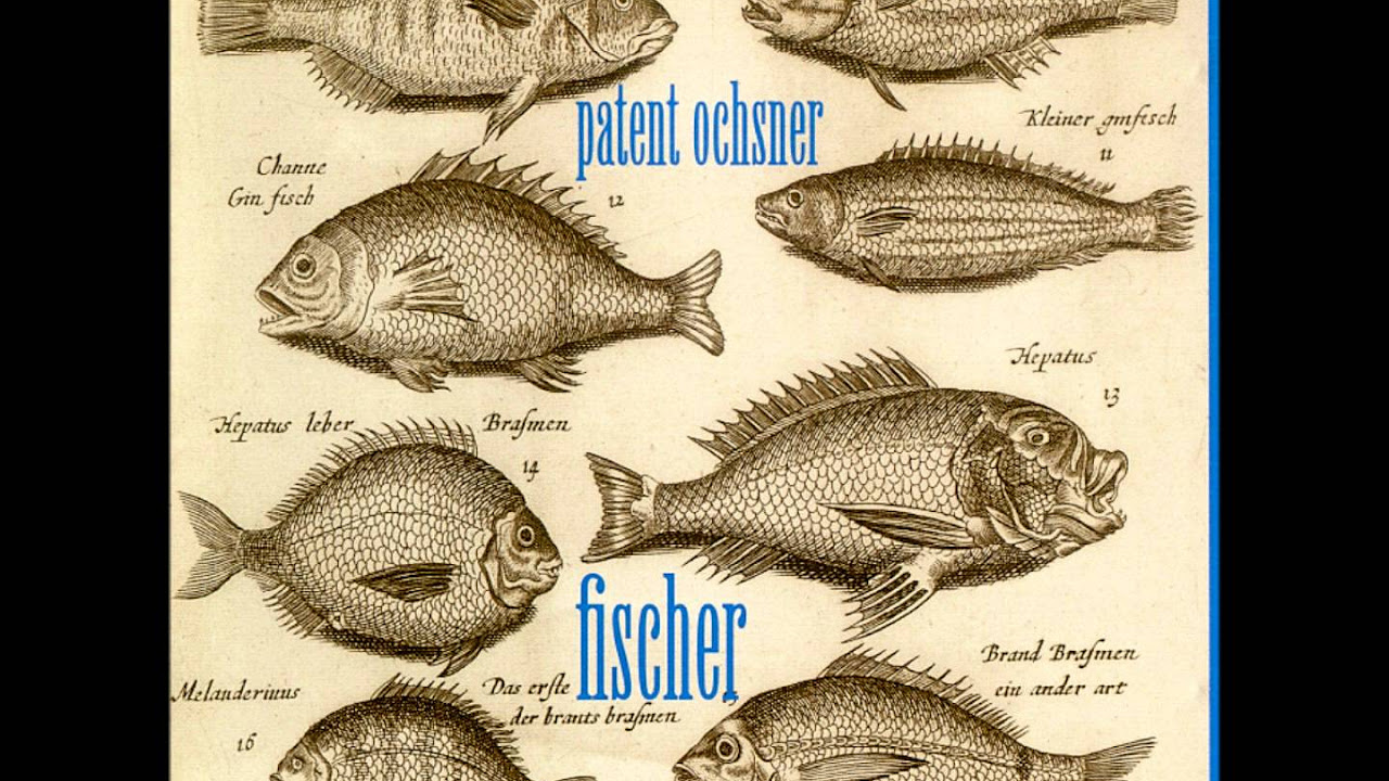 Fischer