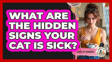 What Are The Hidden Signs Your Cat Is Sick? - Happy Cat Handbook
