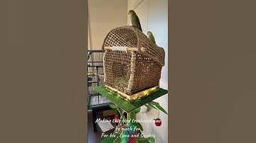 Building A Treehouse For The Three Crazies