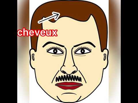 أجزاء الوجه بالفرنسية