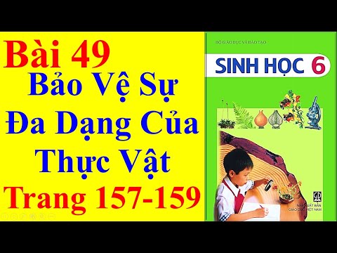 Sinh Học Lớp 6 Bài 49 – Bảo Vệ Sự Đa Dạng Của Thực Vật - Trang 157 - 159