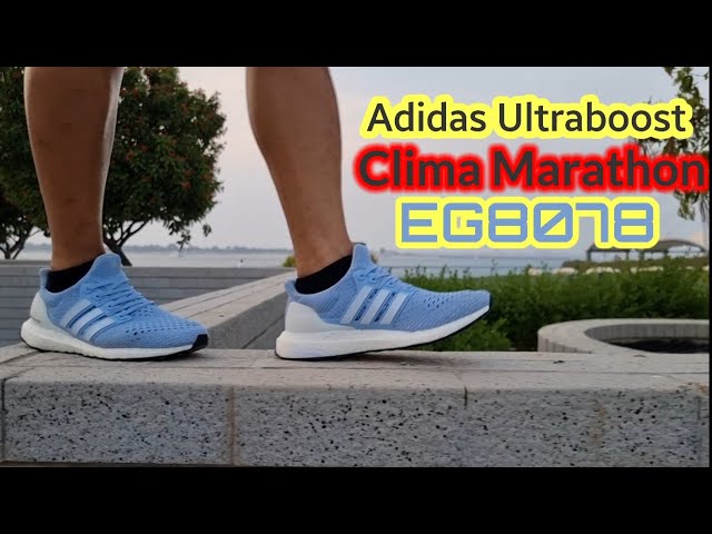Adidas Ultraboost CLIMA Marathon blue × On-Feet class=