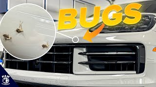 How To Safely Remove Bugs Off Your Car!