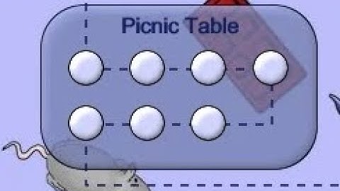 Tasty Planet: Picnic Table 5