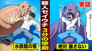 【実話】殺人セイウチ…３分の惨劇。水族館の客を溺死させた。