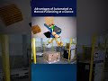 Robotic Palletizing vs Manual Palletizing | See the Difference in Efficiency