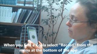 2015 Koala count demo of naturemapr app for iPhone users screenshot 5