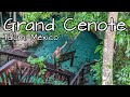 Grand Cenote Tulum ✅ ¿Cuánto cuesta? ¿Cómo llegar? 🐢 Cenote en Tulum con tortugas! #rivieramaya