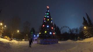 Светящяяся новогодняя ёлка в парке. Footage/Футажи