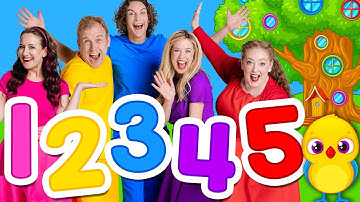 Learn Counting 🐤 Bounce Patrol Birdhouse | Full Episode