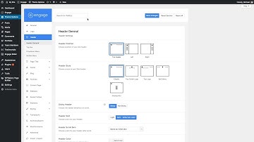 Engage WP Theme: Theme Options Panel