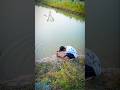 Artificial Streamflow Videography #nature #cinematic #ytshorts #peace #videos
