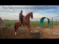 Horse training extreme cow boy race and mustang makeover style