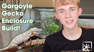 Building a Bioactive Gargoyle Gecko Enclosure