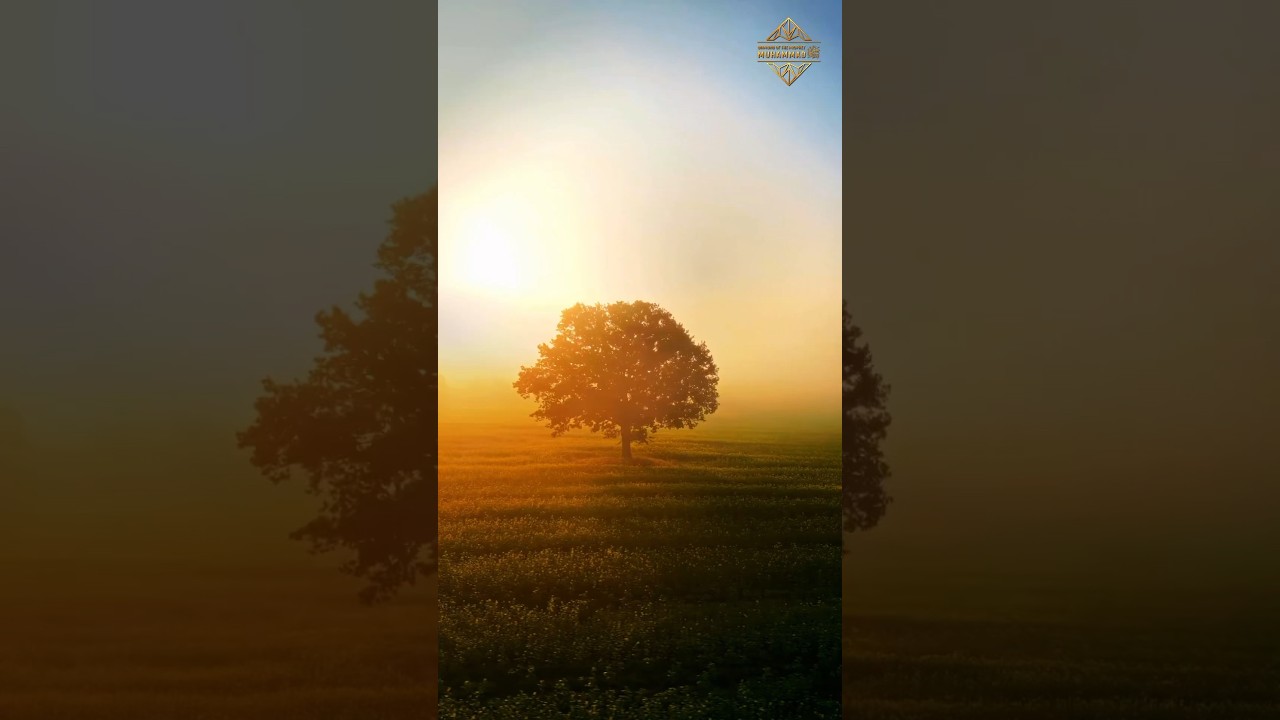 Qur’an Quotes 📖 Surah 13. Ar-Ra’d, Ayat 11 #Quran #ayat11 #quotes #shorts
