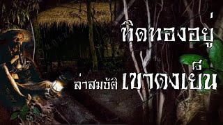 ทิดทองอยู่ ล่าสมบัติเขาดงเย็น สองเพื่อนพรานตะลุยดงดิบ