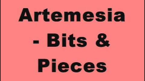 Artemesia - Bits & Pieces (Original)