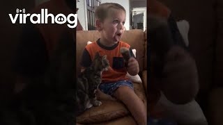 Kitten Steals Ice Cream Licks || ViralHog