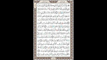 سوره انعام (آیات 111 الی 118)