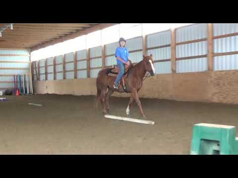 Video: Horse Problem: Bridle Lame