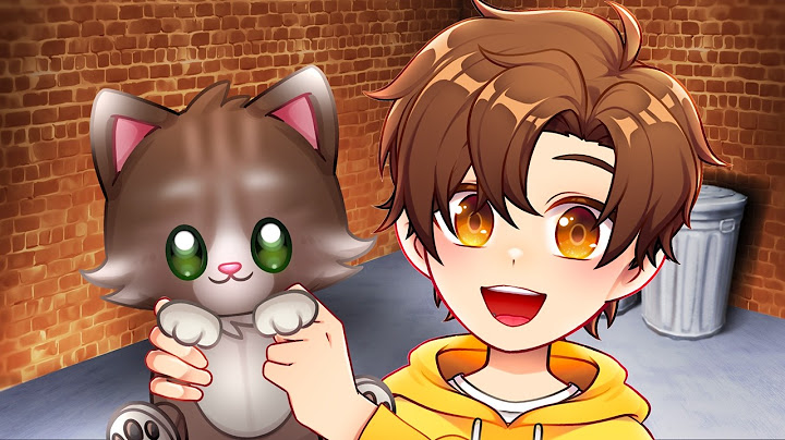MY NEW CAT!