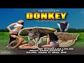 Dip & Come Up - QQ [Donkey Cart Riddim] 2021