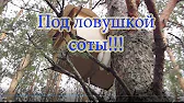 ПАСЕКА ВЛАДИМИРА РЯБУХИНА
