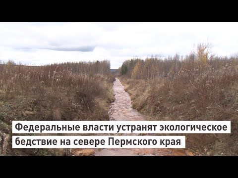 Видео: Что объявлено бедствием на федеральном уровне?