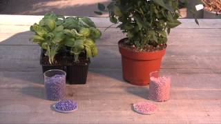Lezioni di giardinaggio COMPO: come concimare fiori e piante!