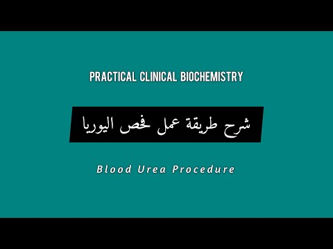 شرح طريقة عمل فحص اليوريا (Blood Urea Procedure)