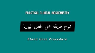 شرح طريقة عمل فحص اليوريا (Blood Urea Procedure)