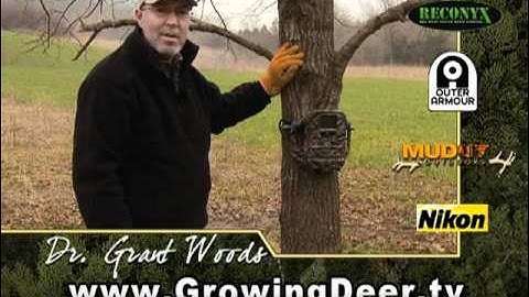 Get The Most Of Your Trail Camera: Time Lapse Feature