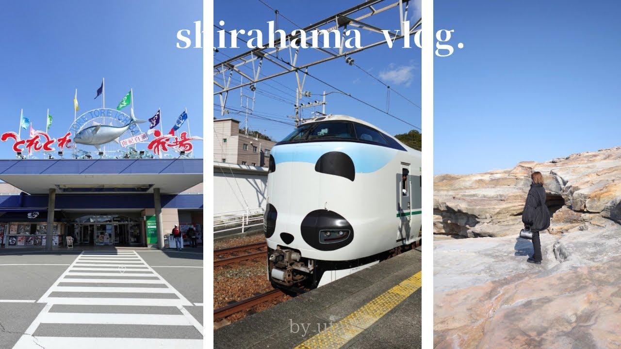 【vlog】ぱんだ号で行く1泊2日白浜旅行vlog🐼🐟🏝️