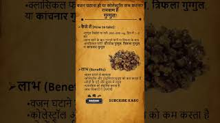 कलसटरल और मटप मटन वल गगगल Guggul Benefits In Hindi