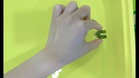 Soap Powered Boat ~ Easy Science Experiment To Do at Home!