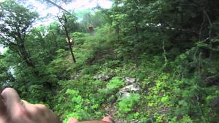 ZIPstream 2013 Trailer