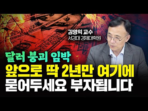   100년 만에 달러 무너지고 이것 뜬다 앞으로 2년 여기에 묻어두세요 부자됩니다 김영익 교수 2부