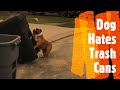 Bulldog Knocks Over Trash Cans.!