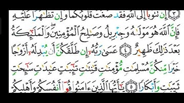 #قراءة وشرح أحكام التجويد لسورة ( التحريم ) آية رقم ( ٤، ٥ ) والتعرف على بعض المدود المعلمة رضى