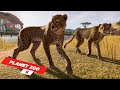 New animals Chinese Crane in our brand new zoo | ep 8 | Planet Zoo | ZwollywoodZz