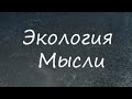 ЭКОЛОГИЯ МЫСЛИ | Уникальное шоу барабанщиков